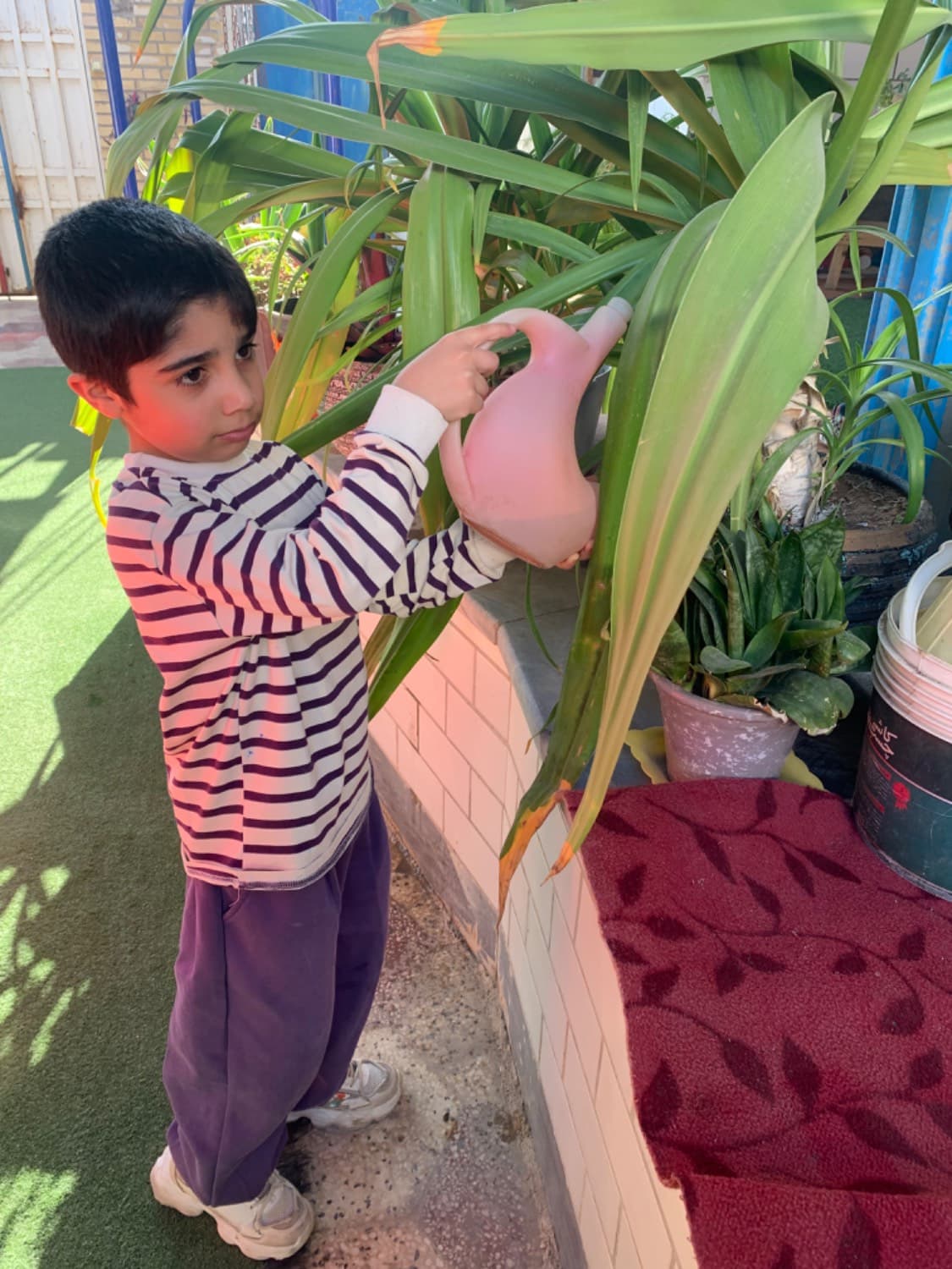 کودکستان صبا گناوه
